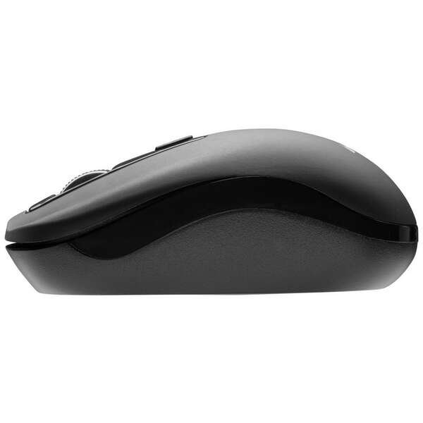 MS FOCUS M310 Black