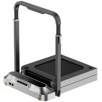 RING WP2 PLUS