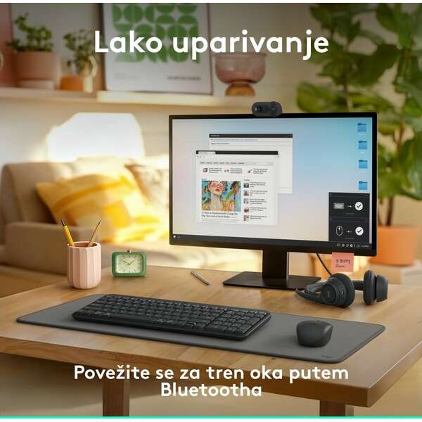 LOGITECH K250 Graphite US 920-013451 Bezicna Tastatura