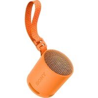 SONY SRSXB100D.CE7