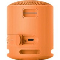 SONY SRSXB100D.CE7