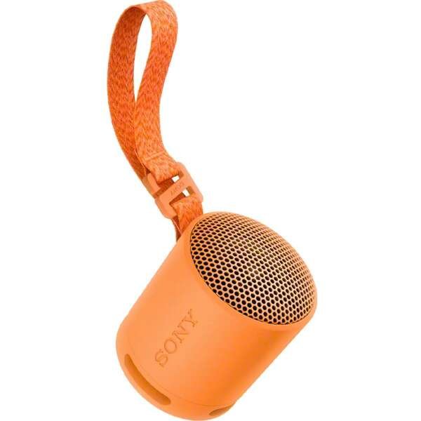 SONY SRSXB100D.CE7