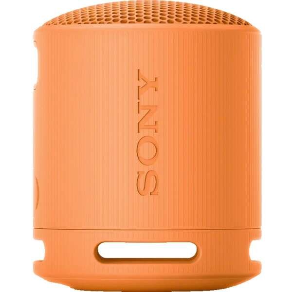 SONY SRSXB100D.CE7