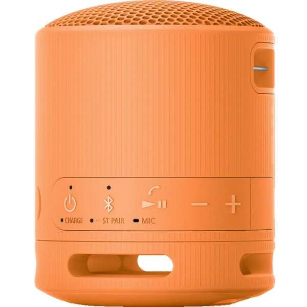 SONY SRSXB100D.CE7