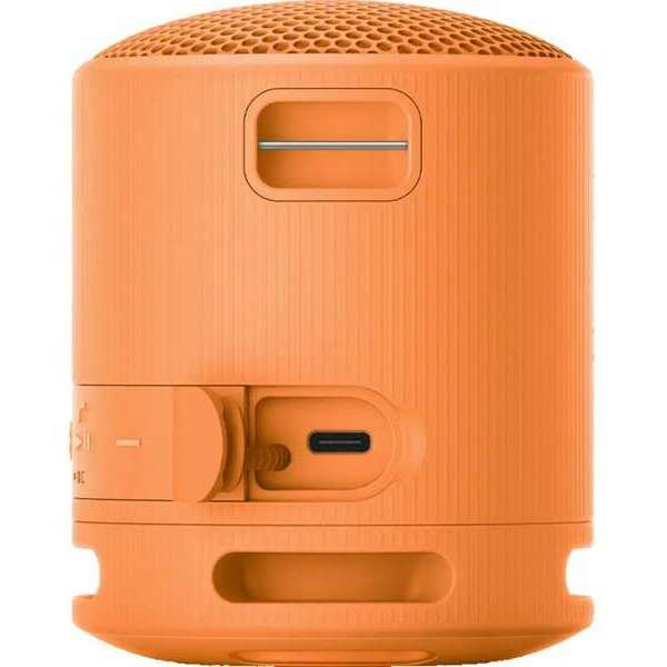 SONY SRSXB100D.CE7