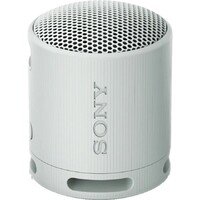 SONY SRSXB100H.CE7
