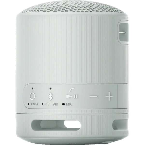 SONY SRSXB100H.CE7