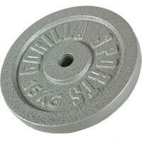 GORILLA SPORTS Teg od livenog gvozdja (15 kg  /  Srebrni)
