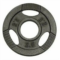 GORILLA SPORTS Teg od livenog gvozdja 2,5 kg (50 mm u sivoj boji)
