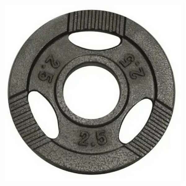 GORILLA SPORTS Teg od livenog gvozdja 2,5 kg (50 mm u sivoj boji)