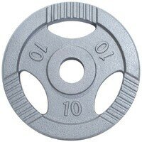 GORILLA SPORTS Teg od livenog gvozdja 10 kg (50 mm u sivoj boji)