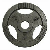 GORILLA SPORTS Teg od livenog gvozdja 5 kg (50 mm u sivoj boji)