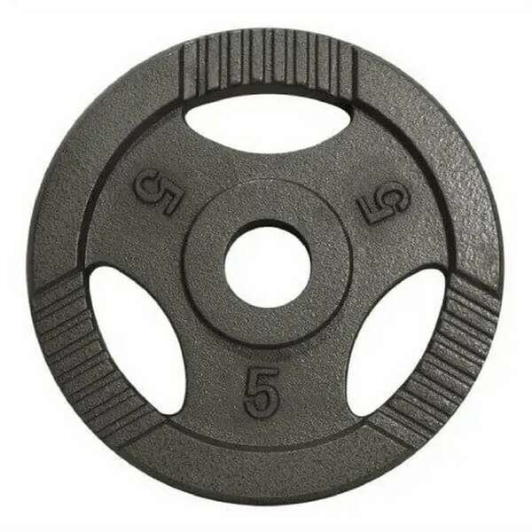 GORILLA SPORTS Teg od livenog gvozdja 5 kg (50 mm u sivoj boji)