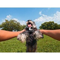 INSTA360 GO Ultra Creator (Arctic Wh)