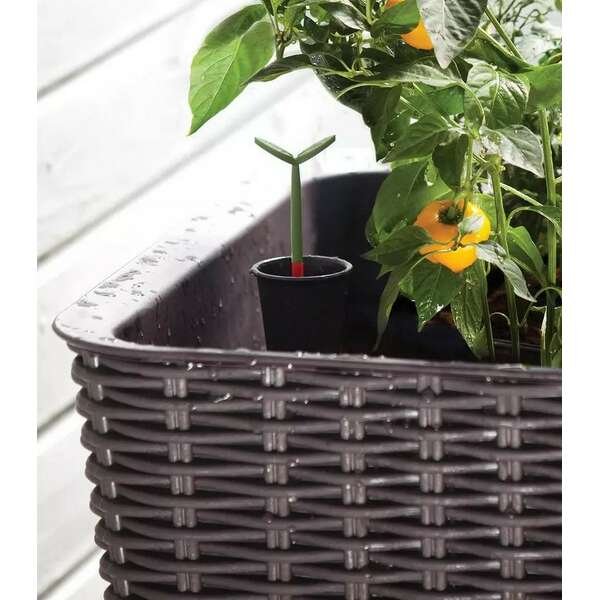 KETER Easy grow 120L viski braon