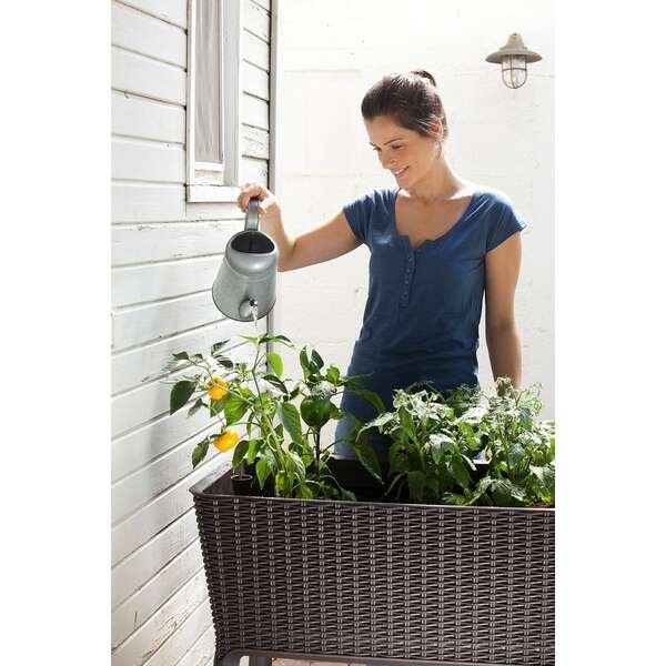 KETER Easy grow 120L viski braon