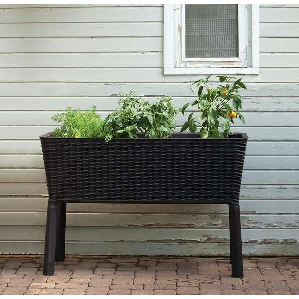 KETER Easy grow 120L viski braon